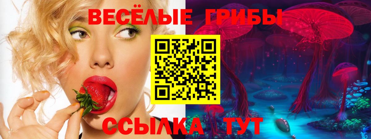 Псилоцибиновые грибы Psilocybe  Галлюциногенные грибы прущие грибы  Вход с VPN  Ачхой-Мартан 